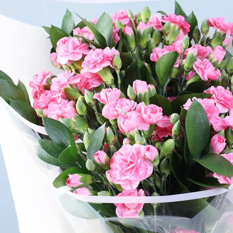 light-pink-carnations-red-teddy-vday-combo_05 light pink carnations red teddy vday combo 05