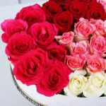 mixed-shades-heart-box_02