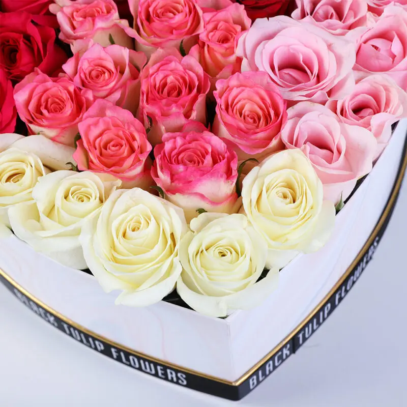 mixed shades heart box 04