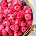 pink-rose-peony-valentine-bouquet_03