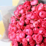 pink-rose-peony-valentine-bouquet_04