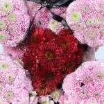 Purple Flower Teddy Valentine Heart 4 purple-flower-teddy_04
