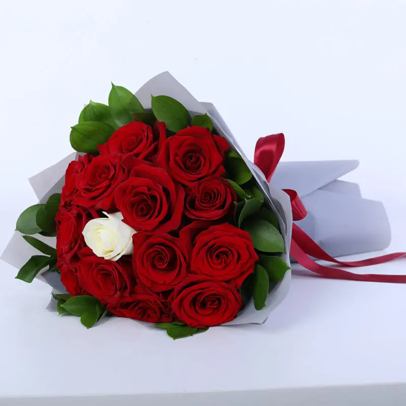 red-and-white-rose-ferrero_03 red and white rose ferrero 03
