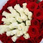 Tale of Two Hearts in Roses 3 red-white-rose-bouquet_03