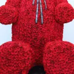 Royal Red Rose Teddy Luxury Box 5 royal-red-rose-teddy-luxury-bo_05