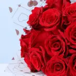 valentine-15-red-roses-heart-wrap_04