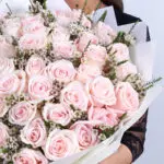 Ecuador Premium Light Pink Roses – 100 Stems 2 ecuador-light-pink-rose-bouquet-100-stems_02