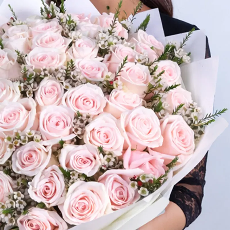 ecuador-light-pink-rose-bouquet-100-stems_02 ecuador light pink rose bouquet 100 stems 02