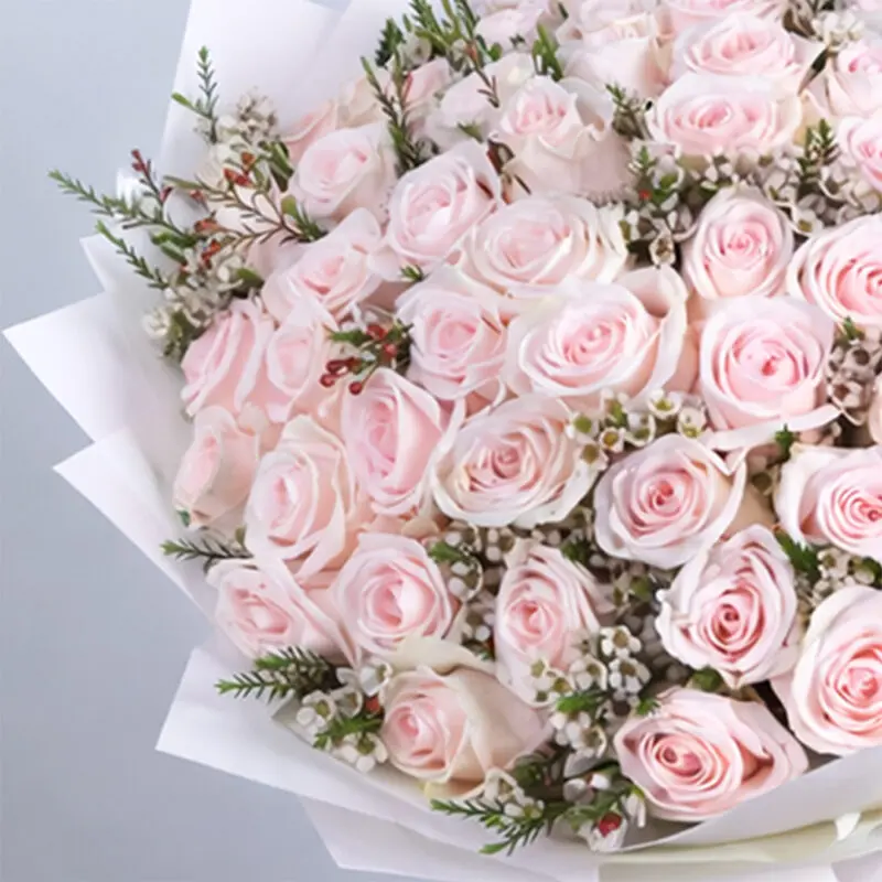 ecuador-light-pink-rose-bouquet-100-stems_03 ecuador light pink rose bouquet 100 stems 03