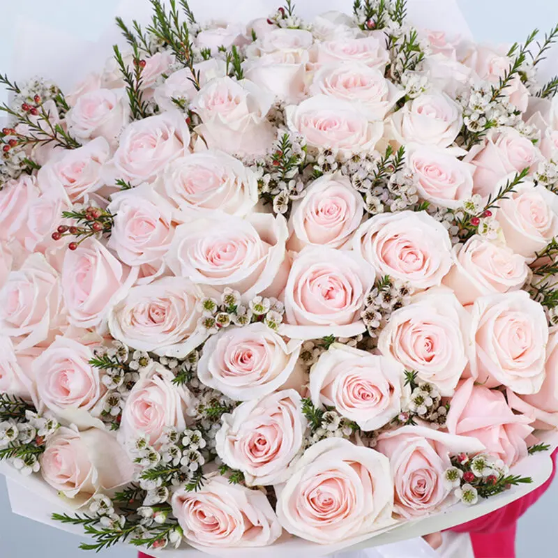 ecuador-light-pink-rose-bouquet-100-stems_04 ecuador light pink rose bouquet 100 stems 04