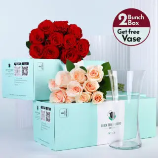 Peach roses and red roses bunches in a green box with vase.