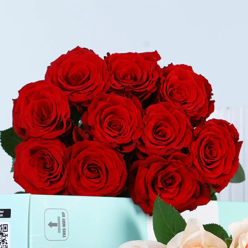 Red Peach Roses Peach & Red Roses Bunch | DIY Roses for Styling