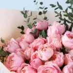 Blush Pink Rose Bouquet with Ferrero (24 pcs) 5 pink-rose-bouquet-ferrero-24pcs_05