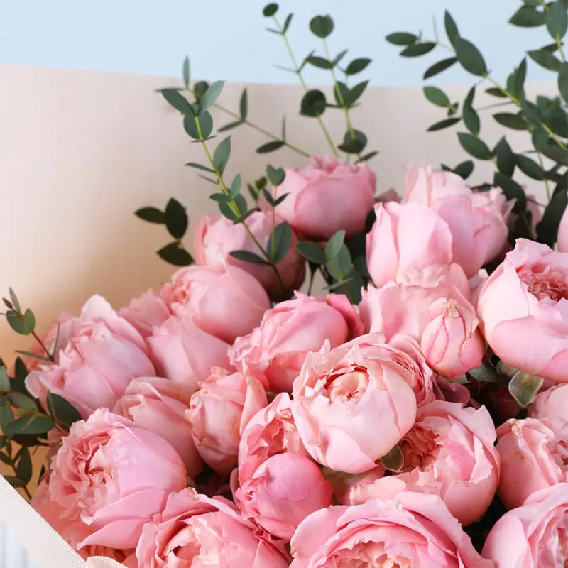 pink-rose-bouquet-ferrero-24pcs_05 pink rose bouquet ferrero 24pcs 05