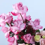 pink-roses-lisianthus-flower-box_03
