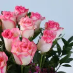 pink-roses-luxury-floral-box_04