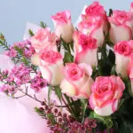 pink-roses-luxury-floral-box_05