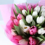 40 Pastel Melody Tulips 4 pink-white-tulip-bouquet-40-stems_04
