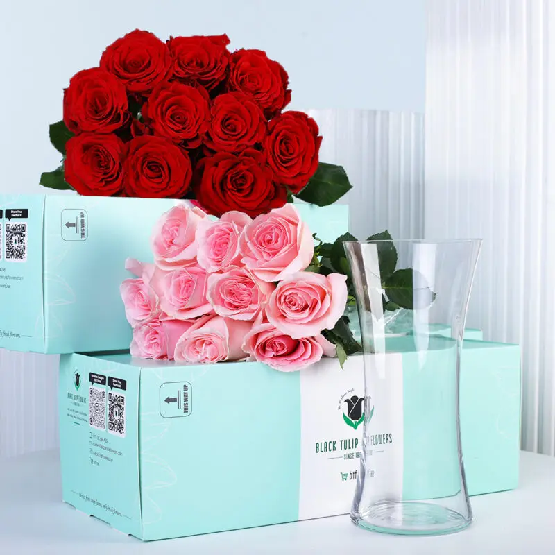 red light pink bunch 02
