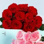 red-light-pink-bunch_04