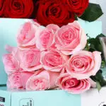 red-light-pink-bunch_05
