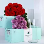 Red & Purple Roses Bunch 2 red-purple-roses-bunch_02