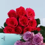 Red & Purple Roses Bunch 4 red-purple-roses-bunch_04