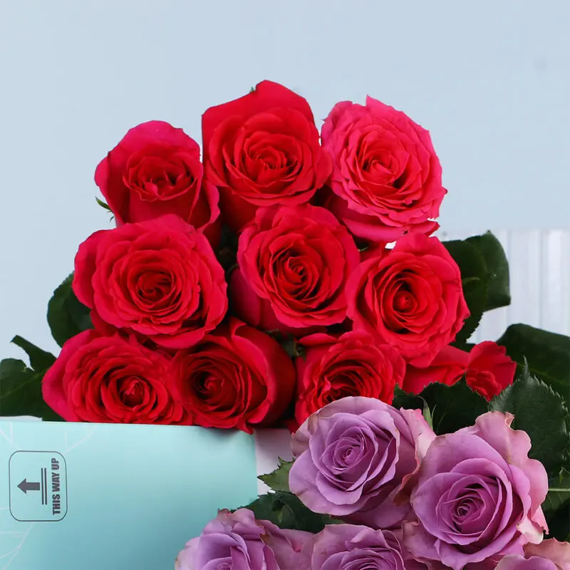 red-purple-roses-bunch_04 red purple roses bunch 04