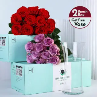 Red roses and purple roses bunches in a green box with vase.