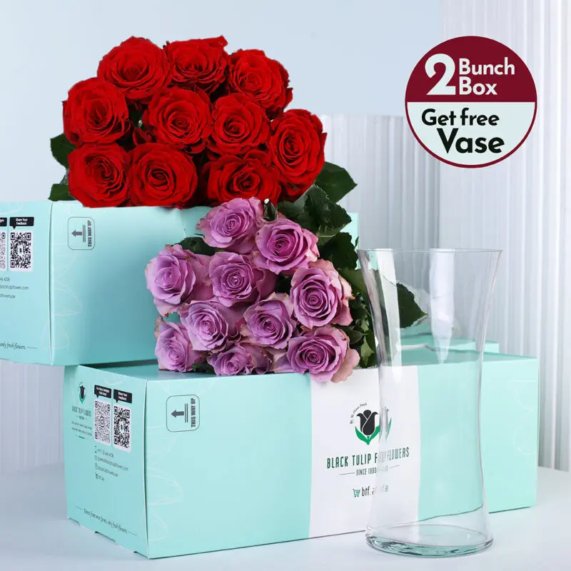 red-purple-roses-bunch_2026 Red roses and purple roses bunches in a green box with vase.