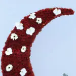 Red & White Crescent Arrangement 3 red-white-crescent-arrangement_03