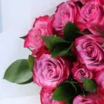Royale Purple Signature Rose Bouquet 5 royale-purple-rose-bouquet_05