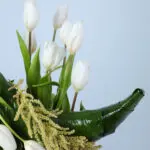 Cresent Luxe Flower Box 3 tulips-orchid-crescent-flower-box_03