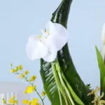 Cresent Luxe Flower Box 5 tulips-orchid-crescent-flower-box_05