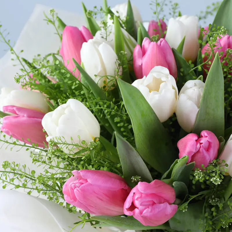 white-pink-tulip-mom-box-24pcs-ferrero_04 white pink tulip mom box 24pcs ferrero 04