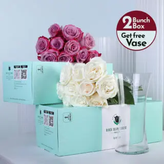White roses and purple roses bunches in a green box with vase.