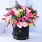 Bloom Carnival Box 1 bloom-carnival-box_2026_01_01