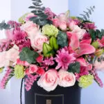 Bloom Carnival Box 2 bloom-carnival-box_2026_01_02