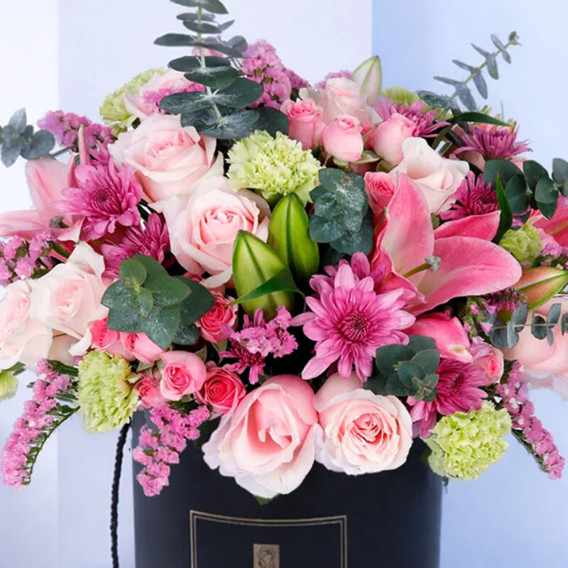 bloom-carnival-box_2026_01_02 bloom carnival box 2026 01 02