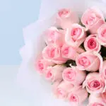 Blush Whisper Rose Bouquet with Ferrero Treat 3 blush-and-indulge-20-pink-roses-24-chocolates_03