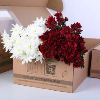 Mixed Euro spray chrysanthemums with 5 stems red and 5 stems white, arranged together as a fresh floral bundle