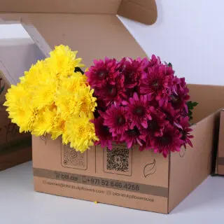 Purple and yellow Euro chrysanthemums arranged in a brown box.