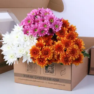 Euro spray chrysanthemums in white, orange, and pink displayed upright to show bloom color and texture