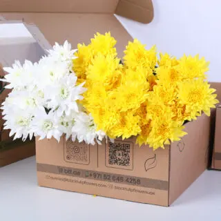 Fresh Euro white and yellow chrysanthemums presented in brown box packaging.