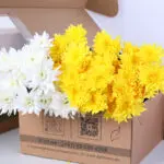 Chrysanthemum Spray Euro White & Euro Yellow 2 chrysanthemum-euro-white-yellow-bunch_02