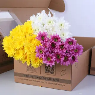Fresh white, yellow, and pink Euro chrysanthemums presented in brown box packaging