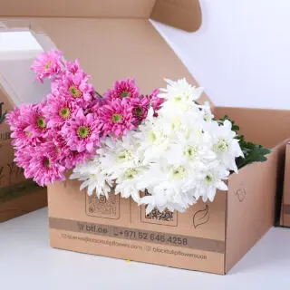 Bunch featuring light pink and Euro white chrysanthemums in a brown box.