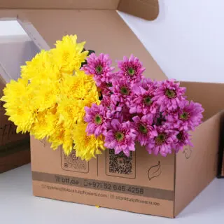 Pink and yellow spray chrysanthemum bunch in a box.