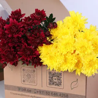 Fresh cut Euro spray chrysanthemum stems with red and yellow flowers, showing multiple small blooms on each stem in a box