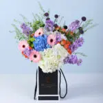 Colour Rush Bloom Box 2 colour-rush-bloom-black-box_02